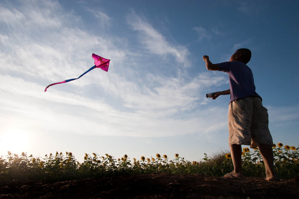 Land activity