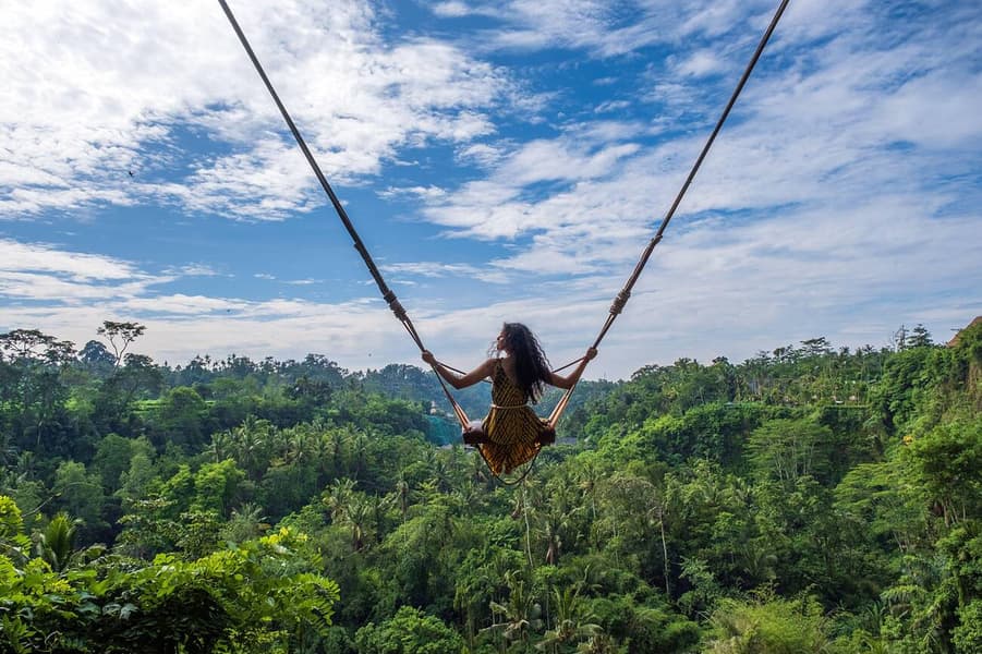 Bali Swing Ubud Image