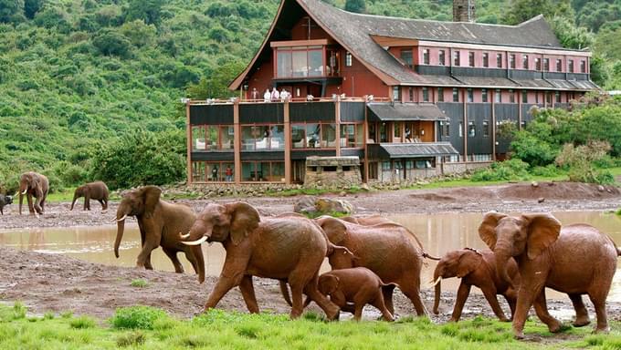 Aberdare National Park.jpg