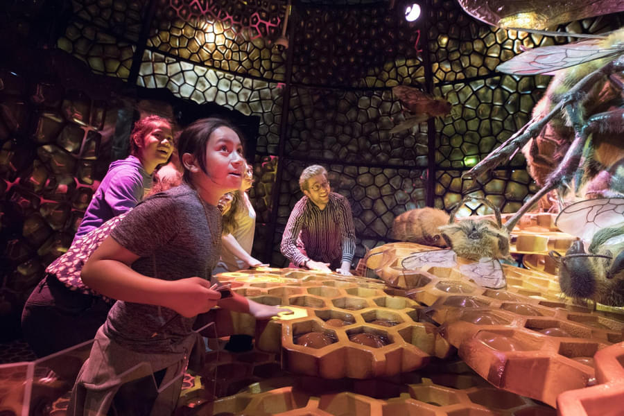 Field Museum of Natural History Tickets Image