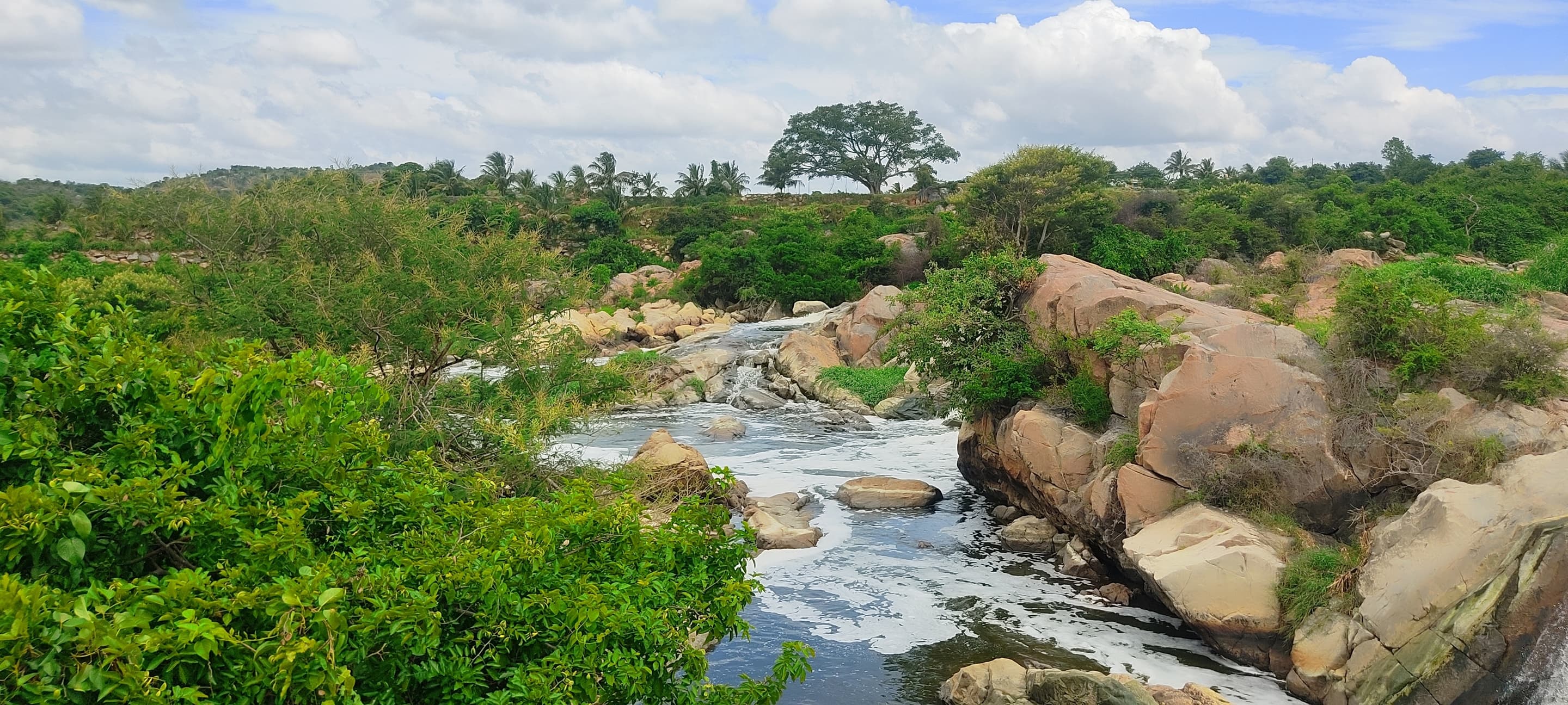 Tamil Nadu Holiday Packages from Guwahati