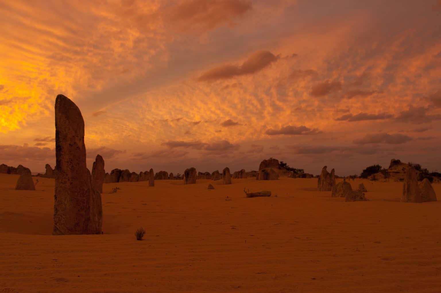 Nambung National Park Perth, <em>Perth</em>