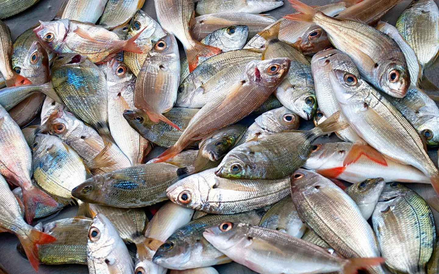 Kedonganan Fish Market