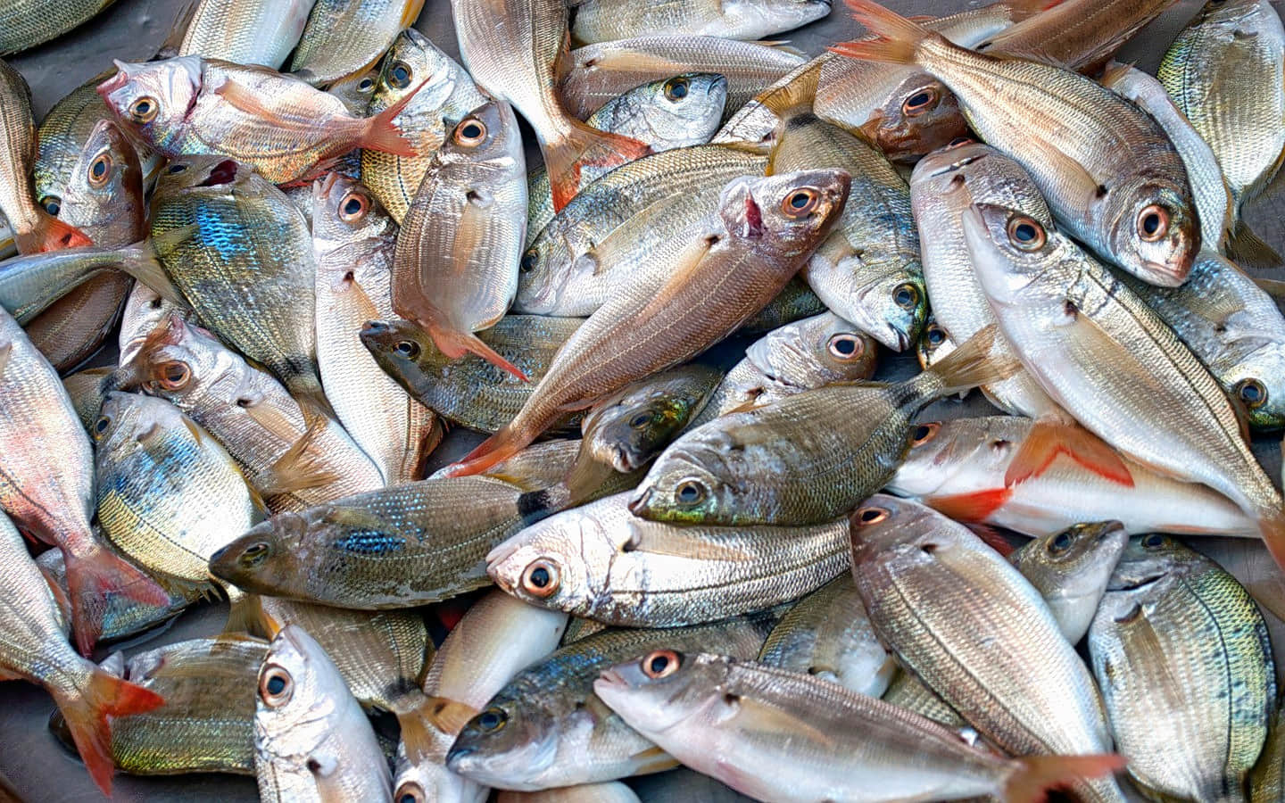 Kedonganan Fish Market, <em>Jimbaran</em>