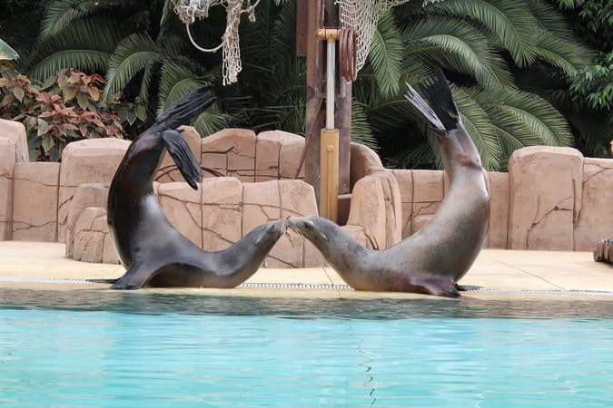 Las Aguilas Jungle Park