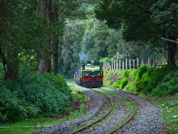 ooty tourism packages from hyderabad