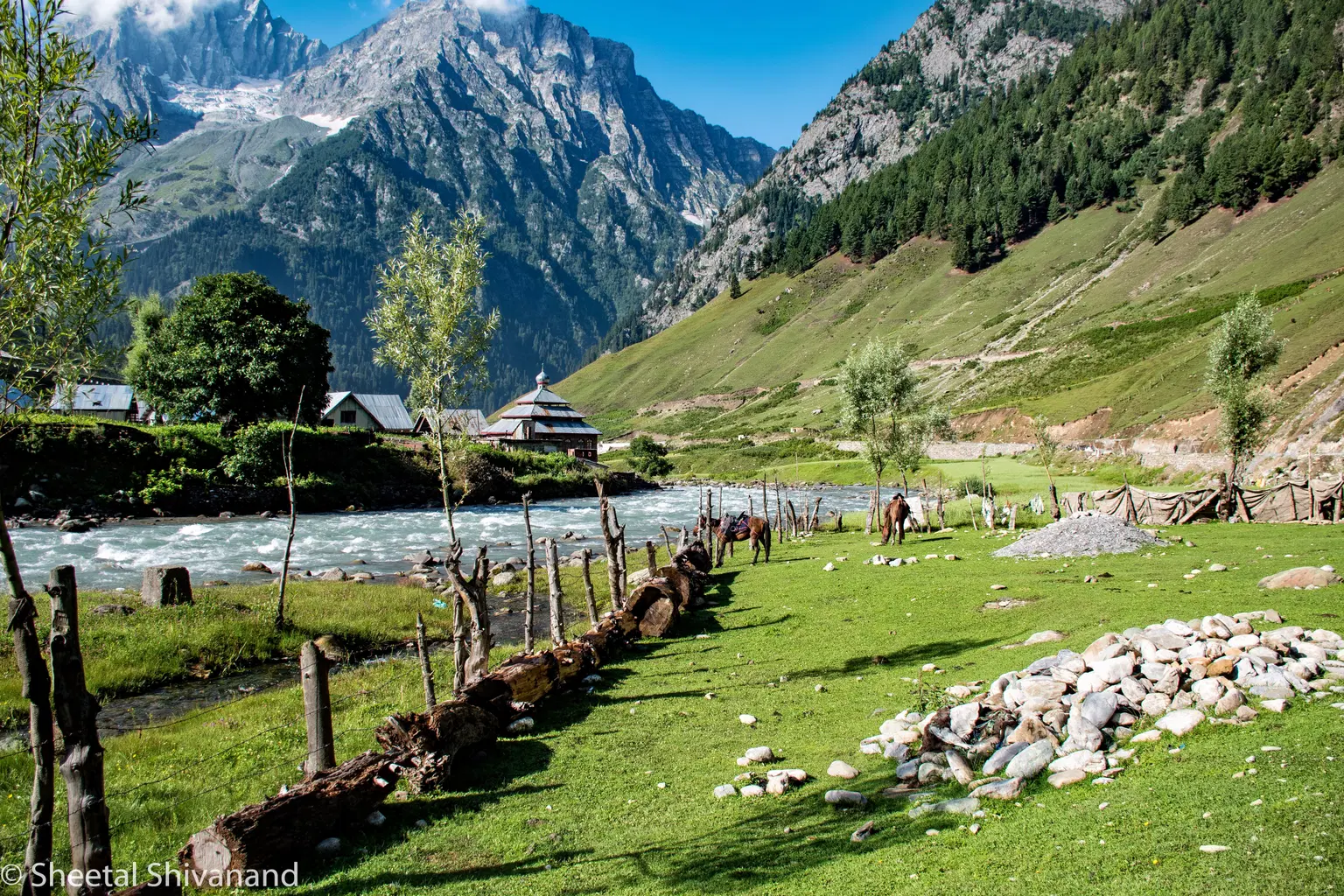 Photo from Sheetal Sheetal's trip