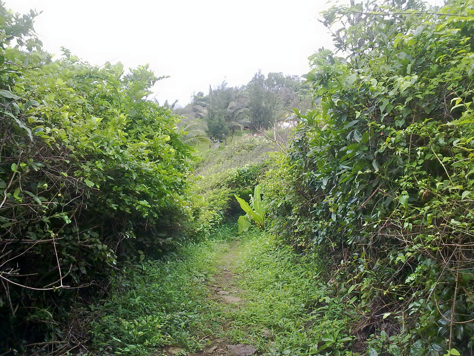 Photo from Shivakari Varman's trip