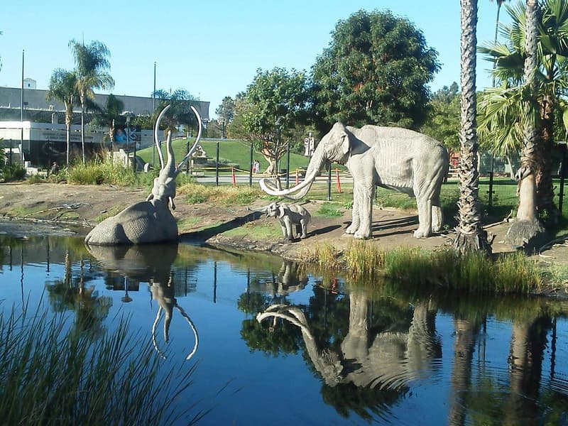 La Brea Tar Pits Tickets Image
