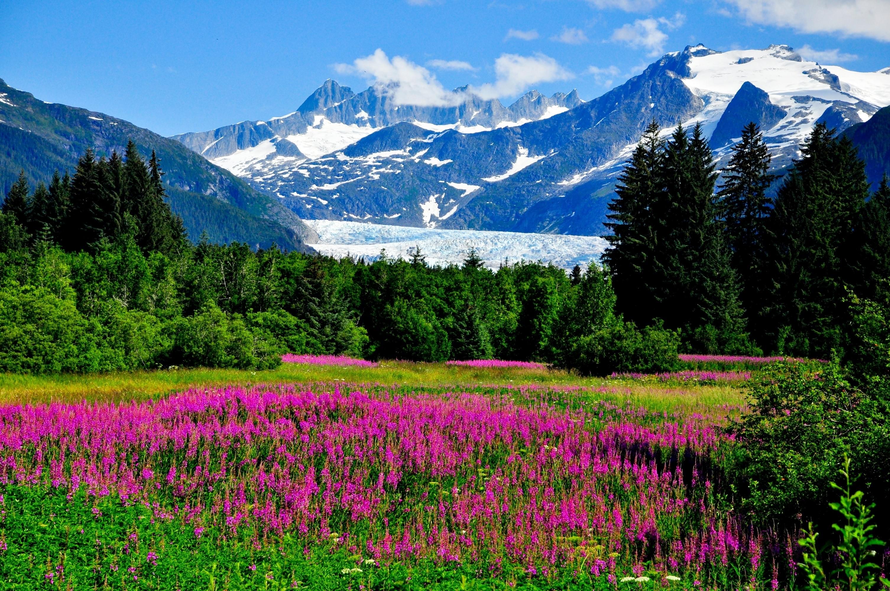 Things to Do in Alaska