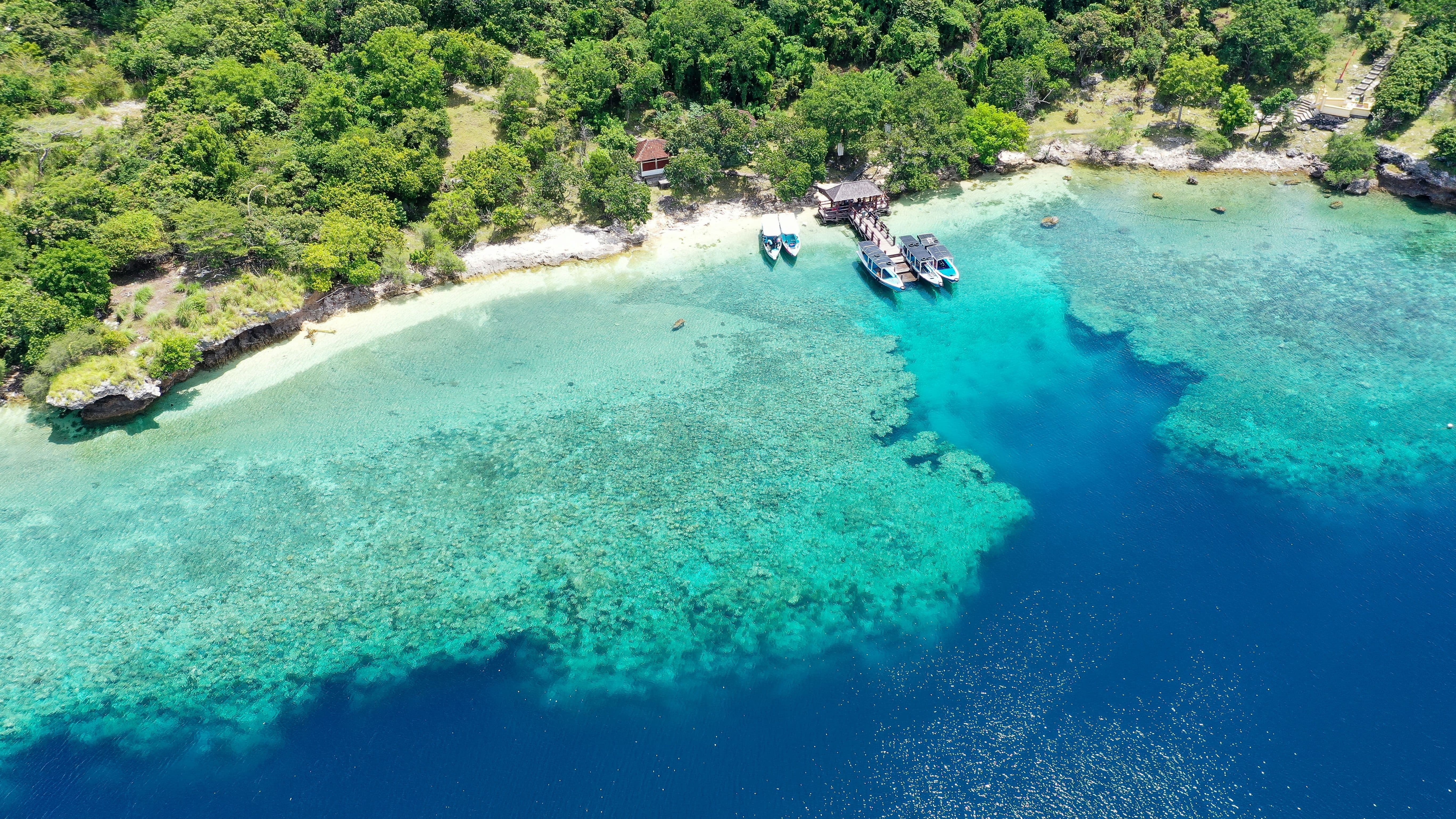 Menjangan Island.jpg