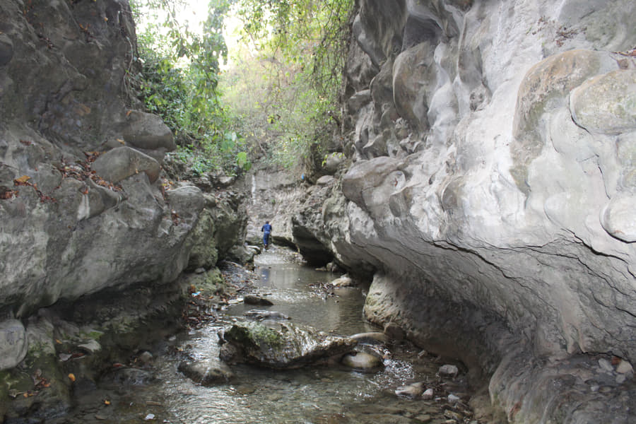 Romantic Mussoorie Dhanaulti Honeymoon Tour Image