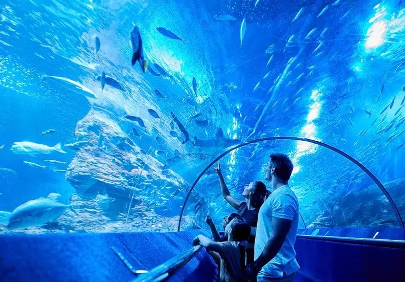 Aqwa   Under Water World