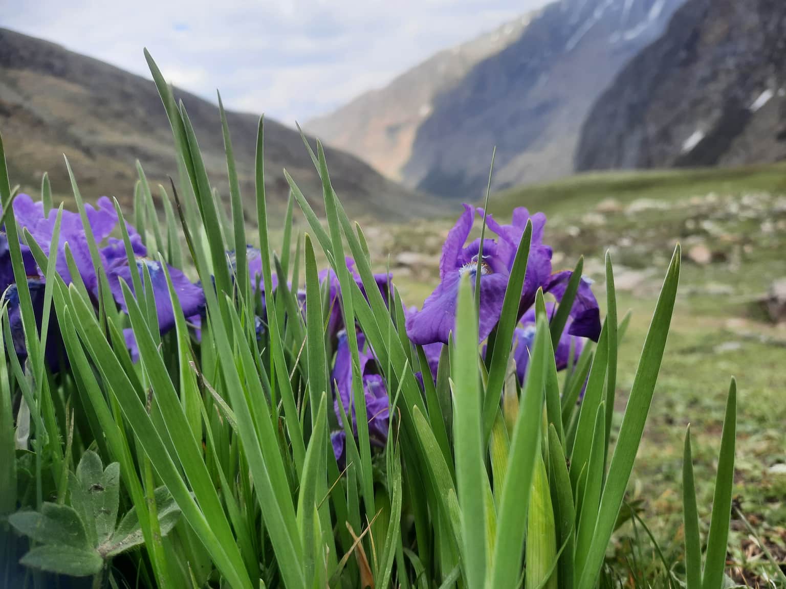 Photo from satish  dwived's trip
