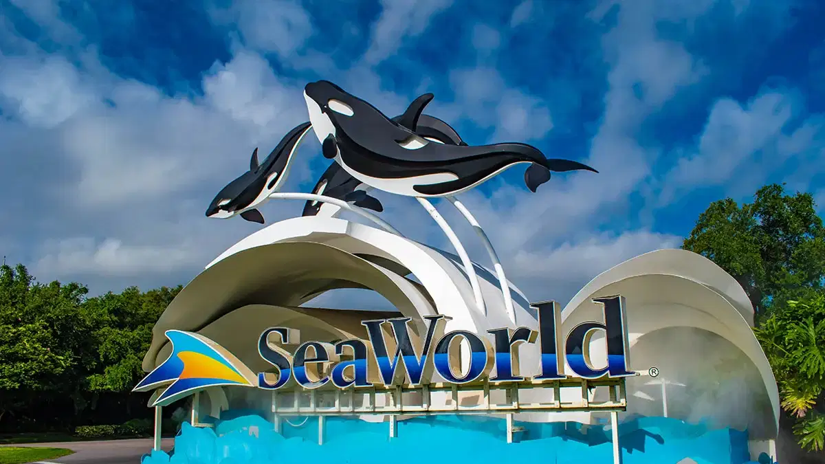 Visit the SeaWorld San Diego