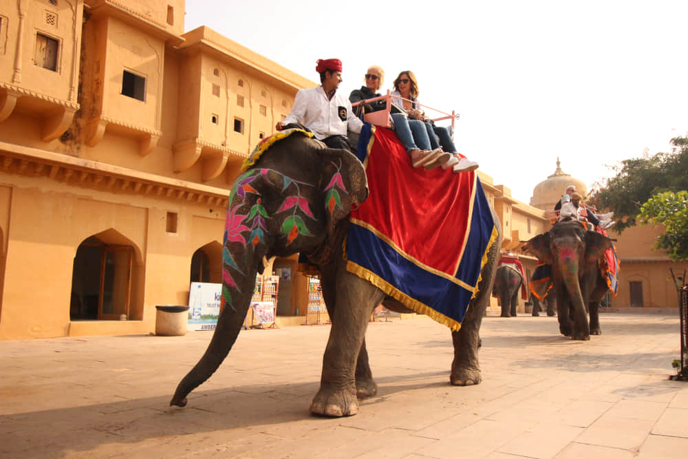 Elephant Ride