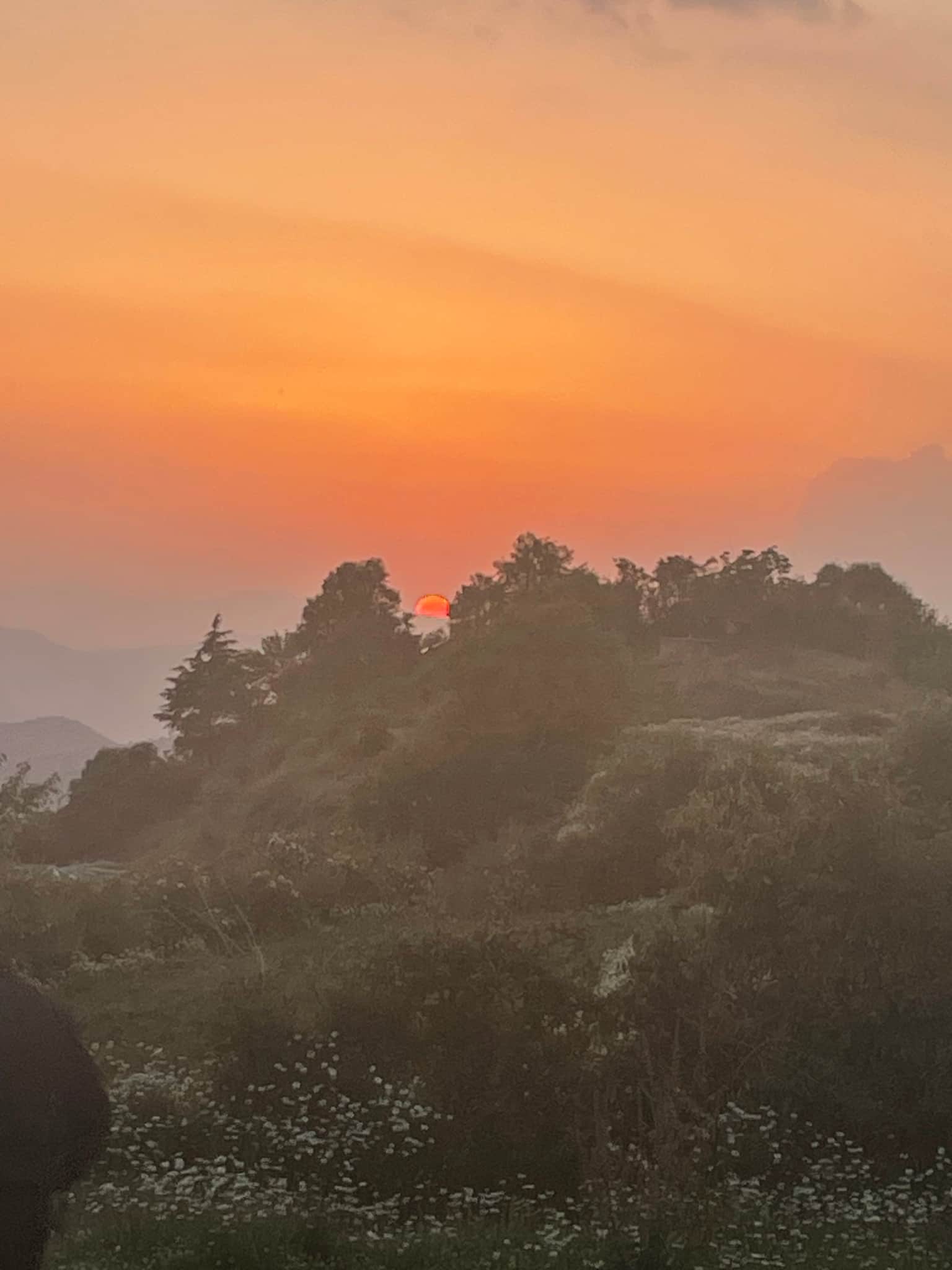 Photo from Anshul  Mittal's trip
