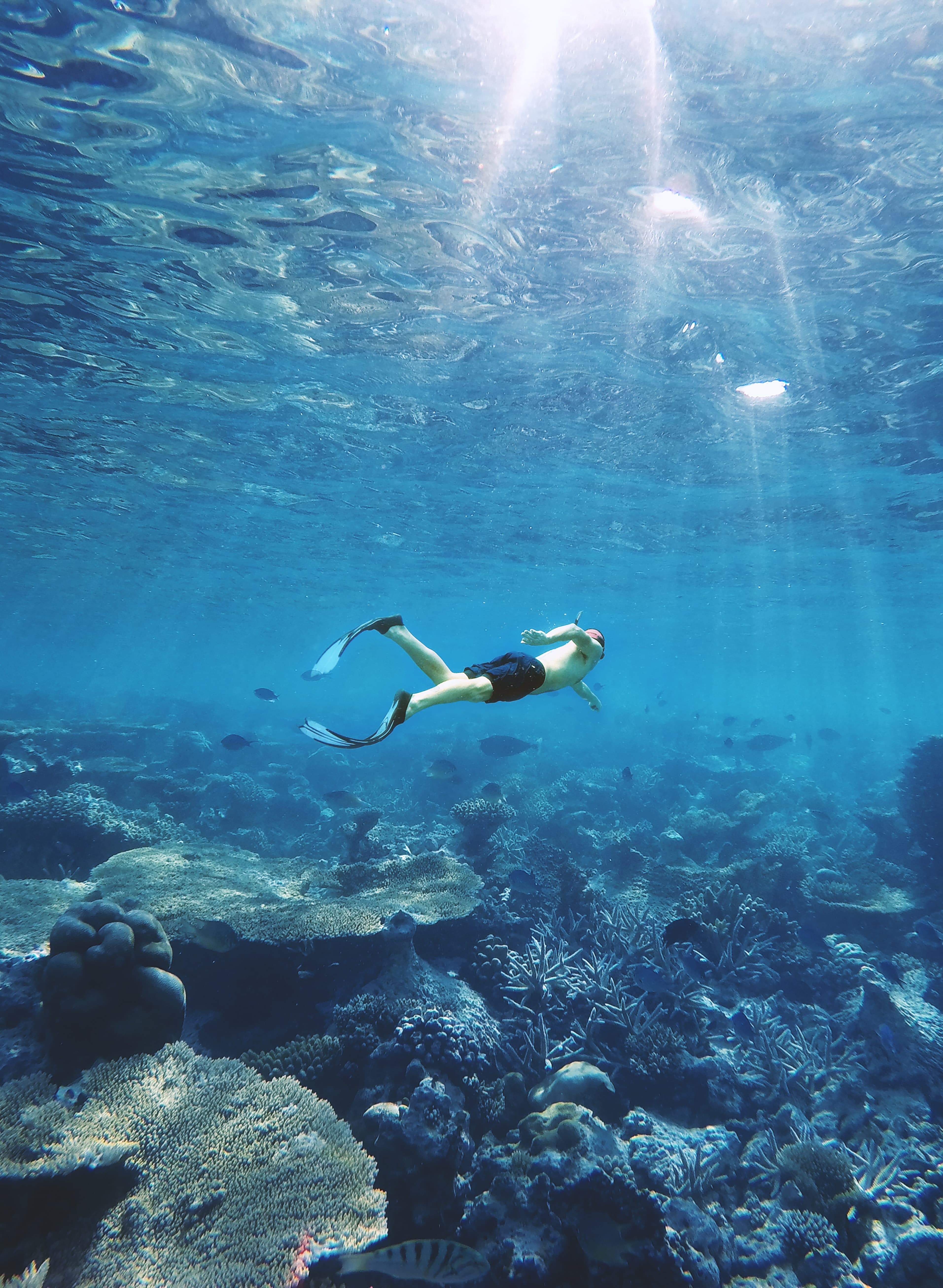 Botella Atlantis Scuba Balvi · Balvi · El Corte Inglés