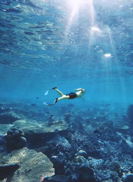 Atlantis Diving Dubai