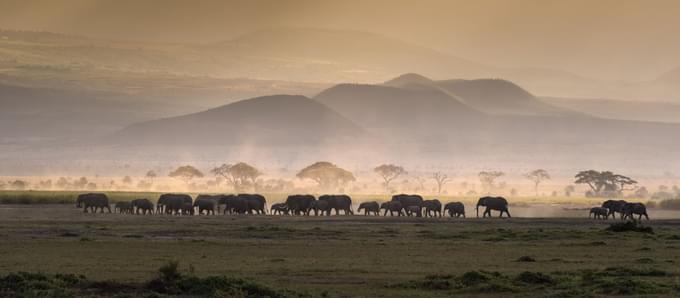 Amboseli National Park