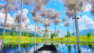 Lorrxa1og0znvjzjj74kotkcntpy whatsapp image 2019 12 01 at 20.27.21