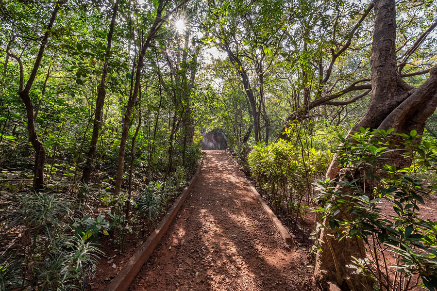 A Secluded Homestay Into The Woods Of Matheran Image