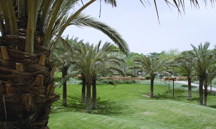 Al Salam Park Abha