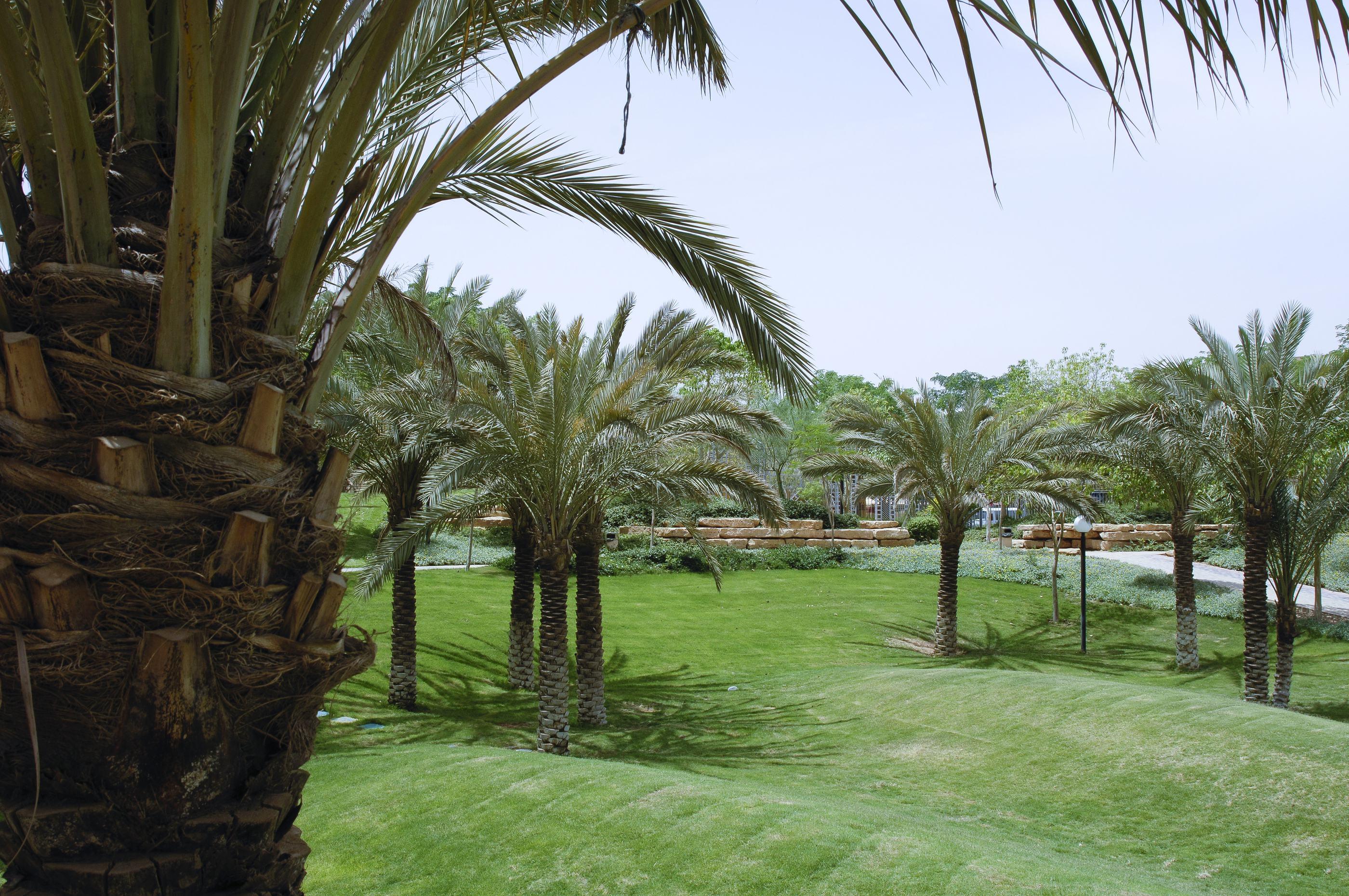 Al Salam Park Abha Overview