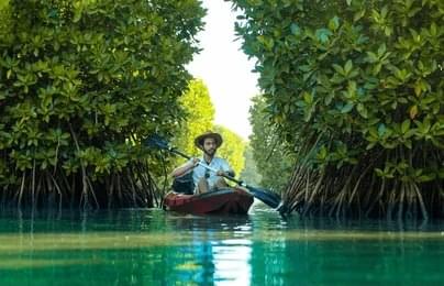 Kayak Through the Calm Backwaters