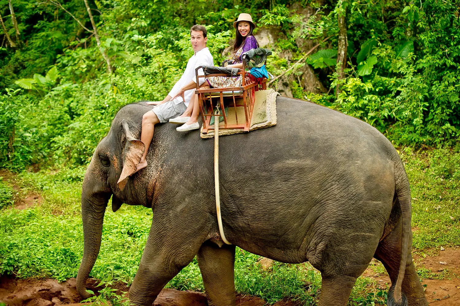 Nosey Parker's Elephant Camp, <em>Krabi</em>