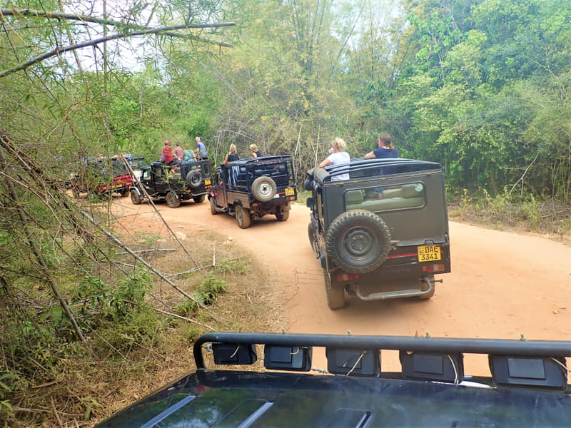 3 Days Jim Corbett Tour Package Image