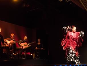 Flamenco Show Tickets, Barcelona