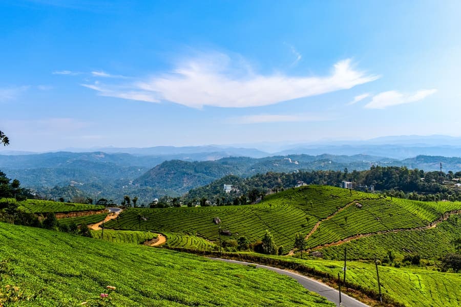 Munnar 3 Days Honeymoon Package Image