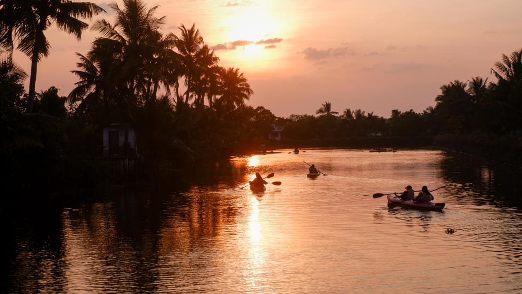 Kayaking In Kochi Image