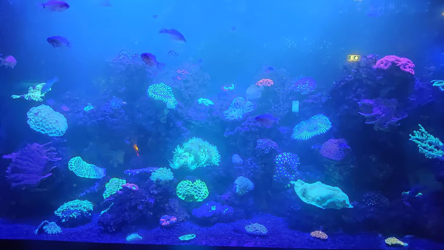 Photo from Zabeel Chowdhury's trip