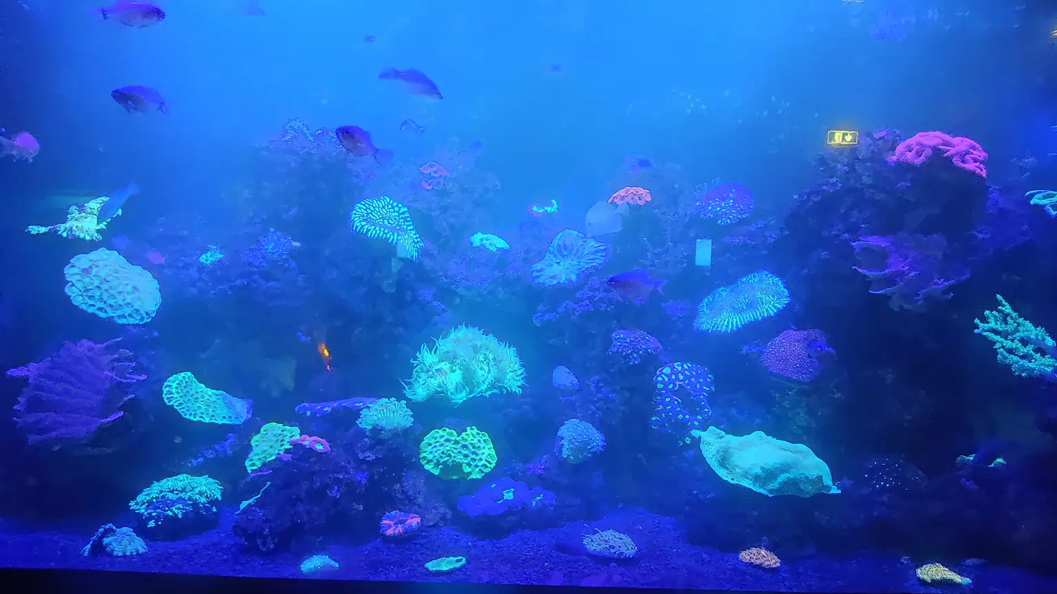 Photo from Zabeel Chowdhury's trip