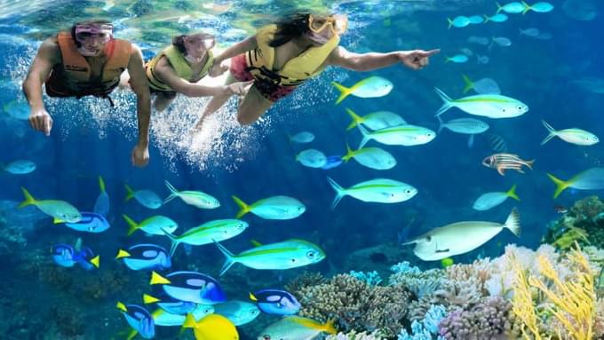 Adventure-Cove-Waterpark-Rainbow-Reef-750x422.jpg