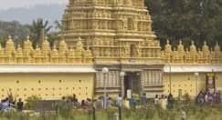 Join in Traditional Festivals and Rituals