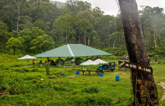 Discover the peaceful ambiance of a lush green environment