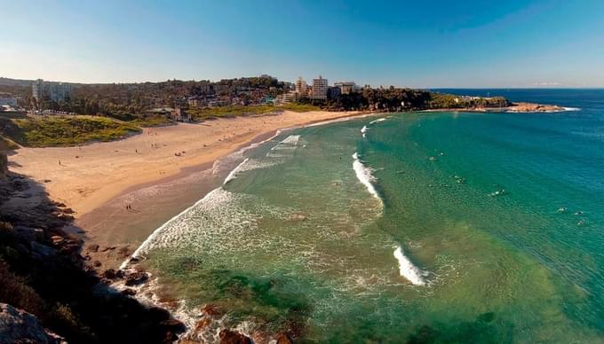 Freshwater Beach Sydney Beaches