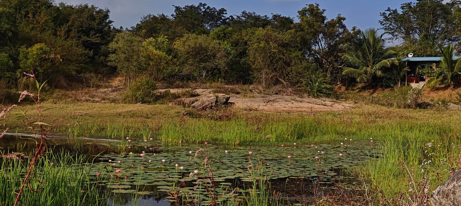 Photo from Anitha 's trip