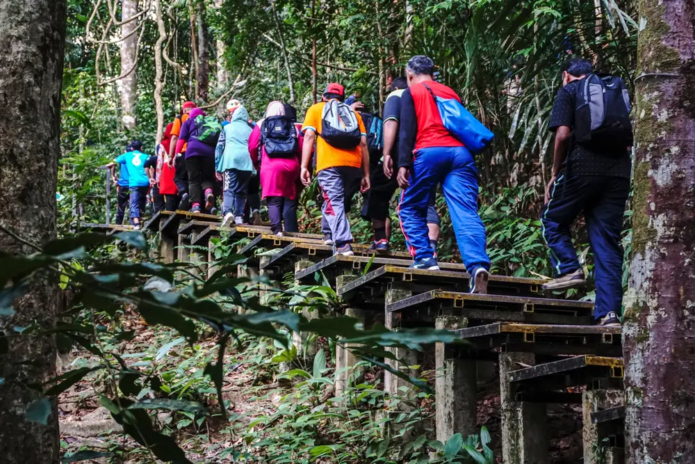 Jungle Trekking
