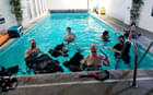Enjoy learning various techniques of diving