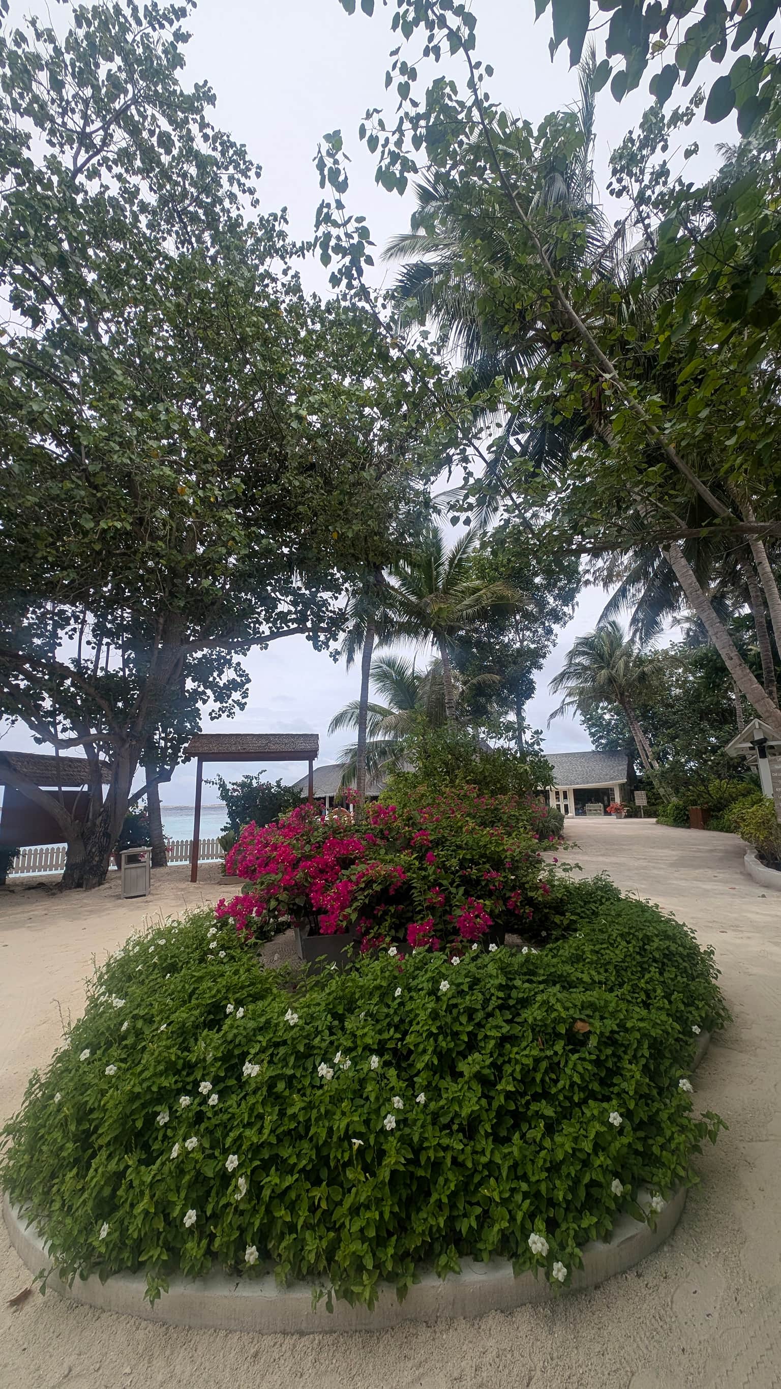 Photo from Suvi Kanchan's trip