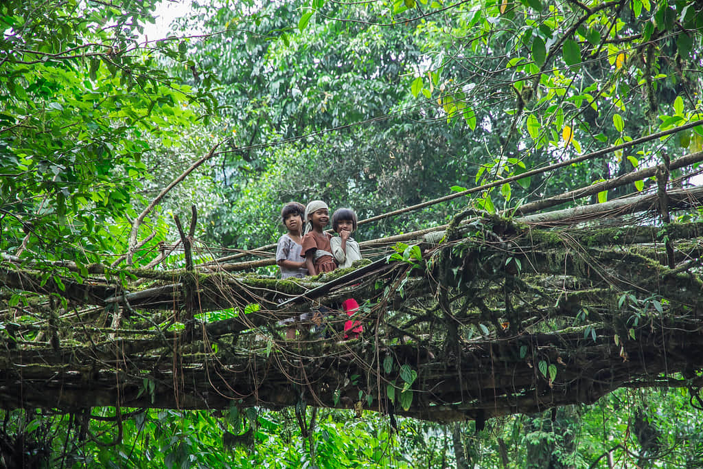 One-Day Visit to Mawlynnong Village