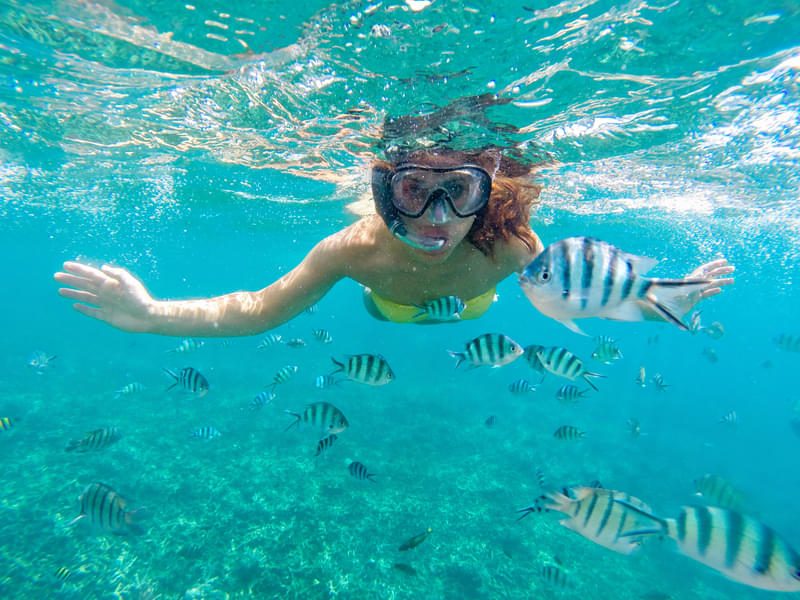 Snorkeling In Pattaya Image