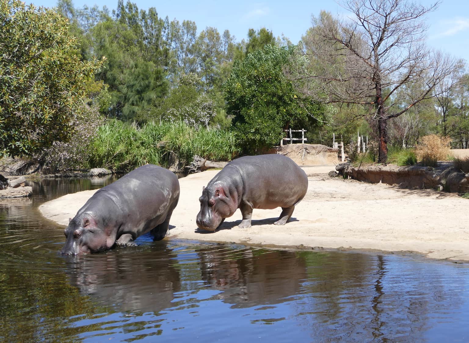 Werribee Open Range Zoo