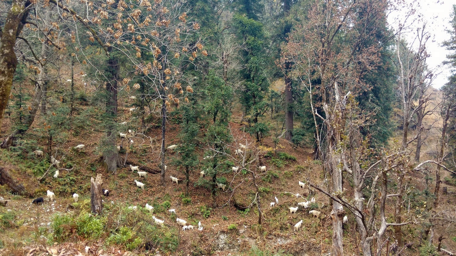Photo from Vrund Malik's trip