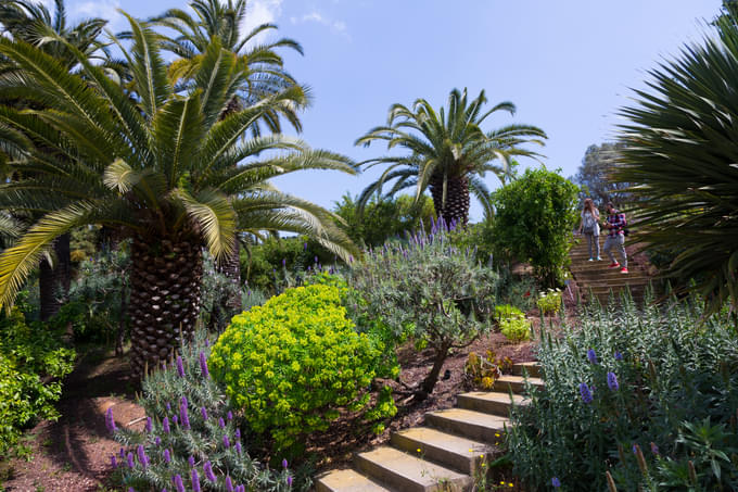Botanical garden of Barcelona
