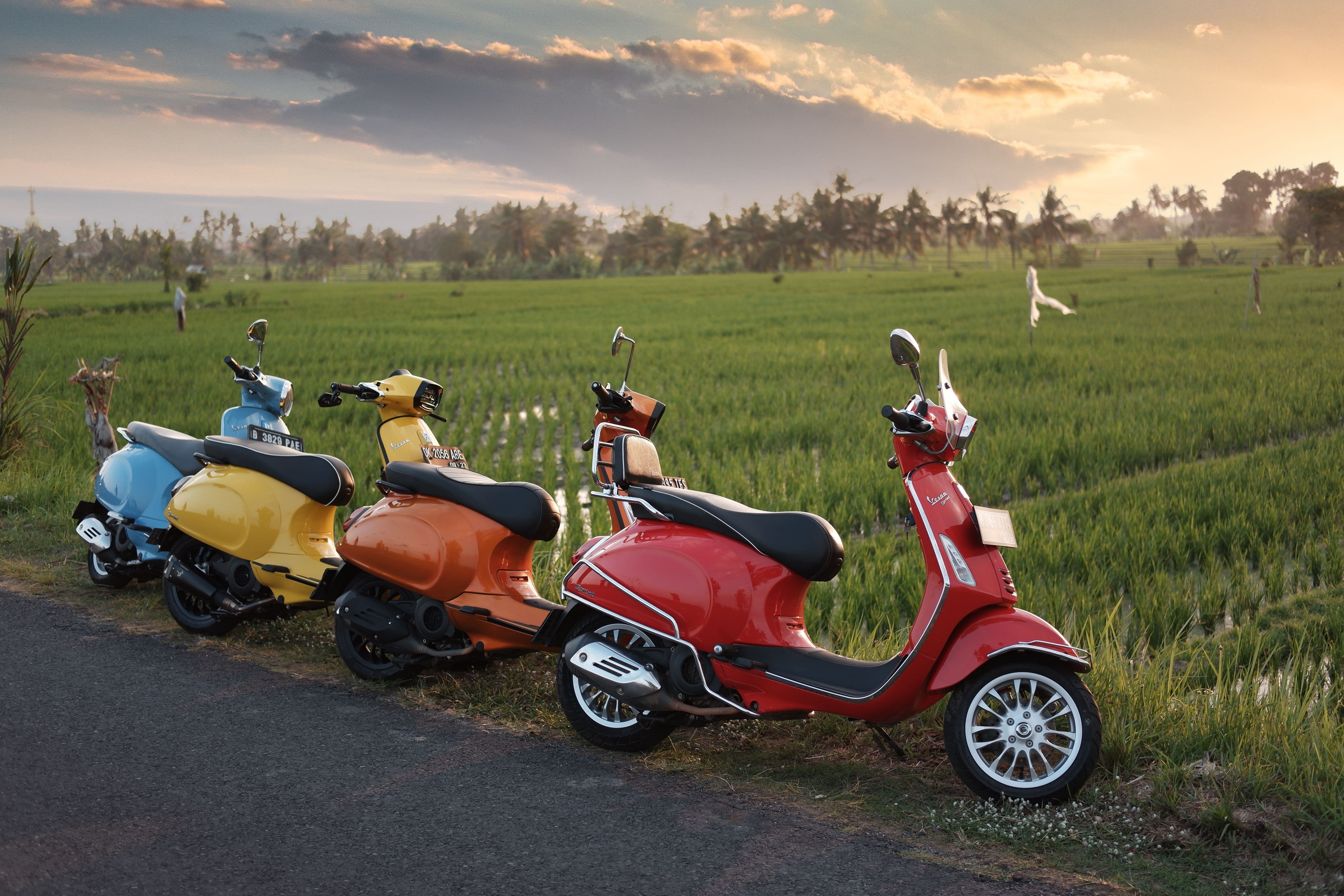 Scooters lined up for rental on a Bali street